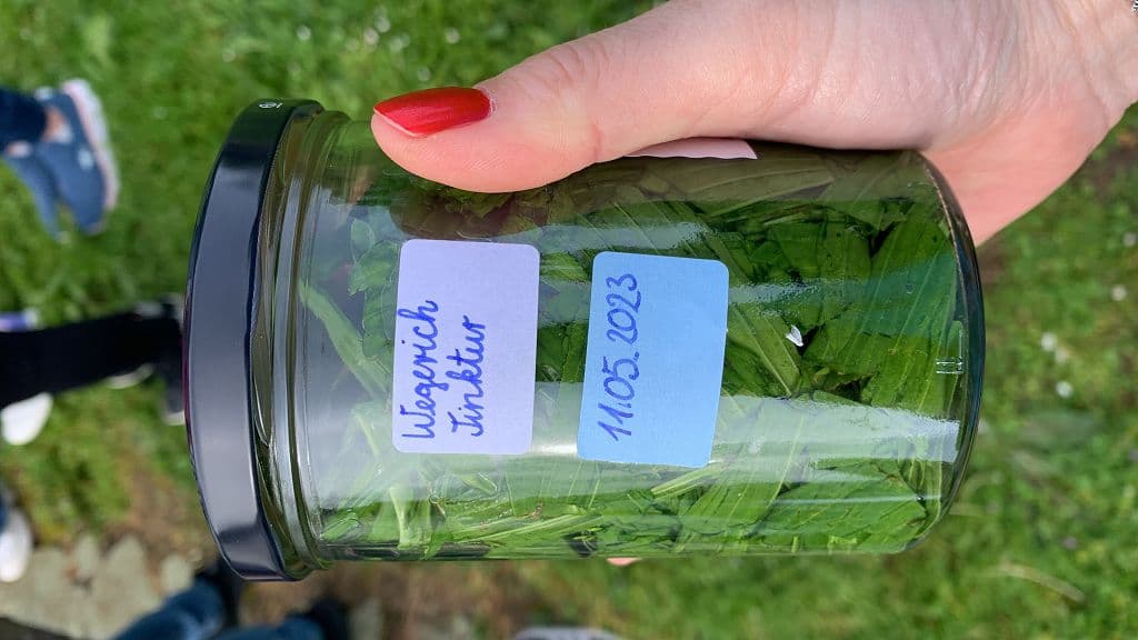 Kraeuterseele Exkursion