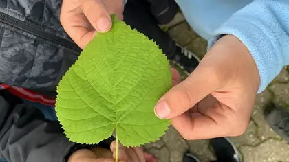 Kraeuterseele Exkursion